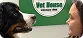 Осмотр собаки в ветеринарной клинике Vet-House