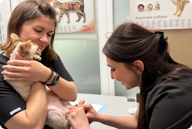 Ветеринарная клиника Vet-House — 15+ Лет опыта специалистов