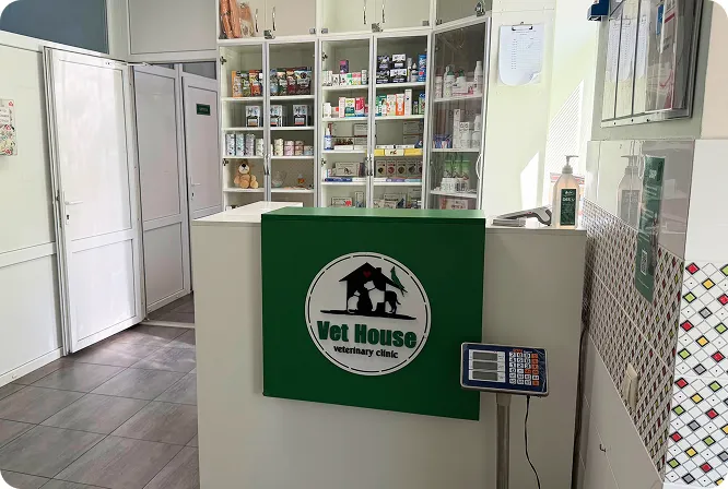 Ветеринарная клиника Vet-House — 10+ Лет работы клиники