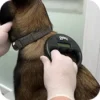 Ветеринарная клиника Vet-House — Вакцинация и чипирование